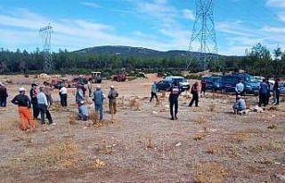 Hayvan otlatırken kaybolan yaşlı kadın için dağda...