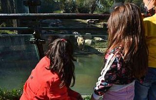 Hayvanat Bahçesi’nin özel konukları