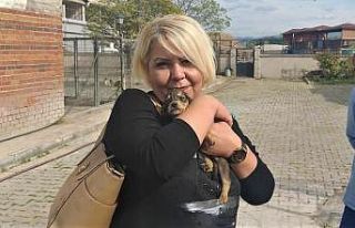 Her canlıya şefkat gösterilmeli