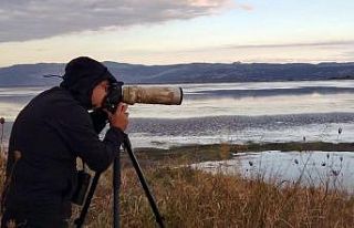 Hersek Lagününde "dikkuyruk" sürprizi