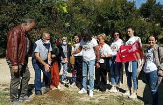 Hindistanlı Mohanji, Gürleyik köyüne 112 adet...