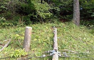 Hırsızlar telefon kablolarına dadandı