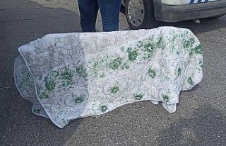 Hırsızlık şüphelisi gözaltına alındı