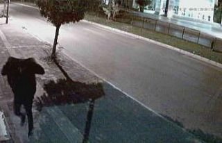 Hırsızlık şüphelisinin acemi provası marketçiyi...