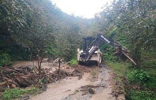 Hopa ve Kemalpaşa’da sağanak yağış etkili oldu