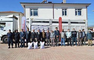 Hüyük ilçesinde çiftçilere sertifikalı mercimek...