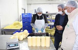 Iğdır’da ’Gıda denetim seferberliği’