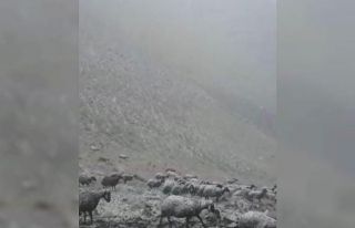 Iğdır’ın yüksek kesimlerinde kar
