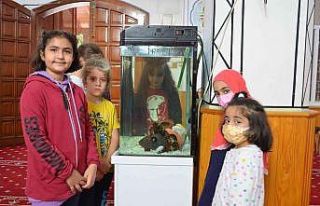 İmam, çocuklar için camiye akvaryum yaptırdı