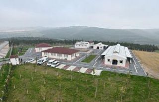 İnegöl’de bin 380 köpek kısırlaştırıldı,...