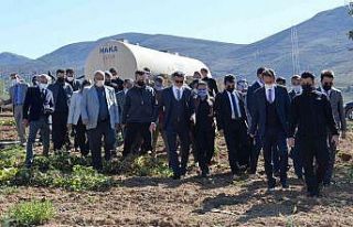 İspir Fasulyesi’nin hasadına başlandı