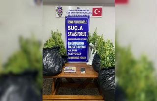 İstanbul’da 22 kilo marihuana ele geçirildi