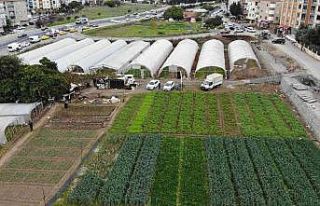İstanbul’un göbeğinde, E-5’in yanında organik...