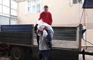 İzmit Belediyesi buğday dağıtımını sürdürüyor