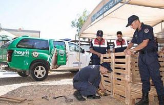 Jandarma, dernekler ile birlikte barınaktaki hayvanlar...