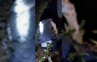 Jandarma, kayıp kadını 3 saatlik çalışma sonrası...