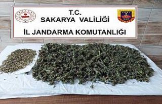 Jandarma uyuşturucuya geçit vermiyor