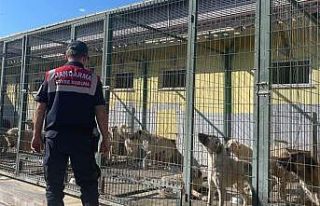 Jandarmadan hayvan bakımevlerine ziyaret