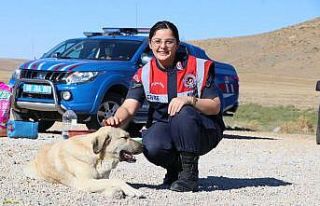 Jandarmadan hayvanlara şefkat eli