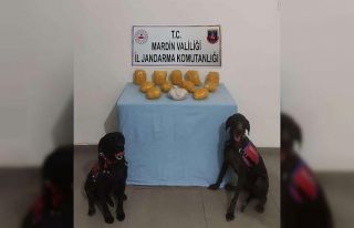 Jandarmadan zehir tacirlerine operasyon