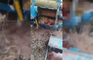 Kabak çekme makinasına düşen kadın ağır yaralandı