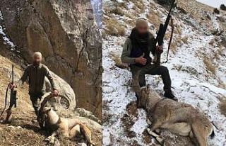 Kaçak avcıyı sosyal medya ele verdi