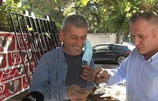 Kadıköy’de ‘Laz bakkalın’ arı kovanındaki...