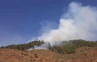 Kahramanmaraş’ta orman yangını