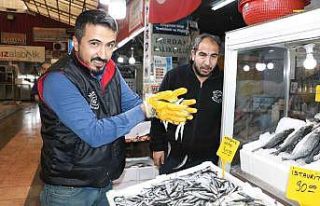 Kahramanmaraş’ta tezgahlarda balık bolluğu