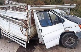 Kamyon ile kamyonet çarpıştı: 1 Yaralı