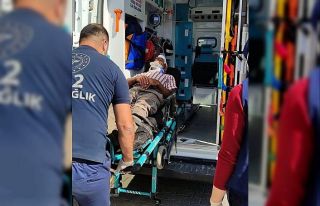 Kamyonet ile otomobil çarpıştı: 1 yaralı