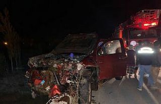 Kamyonet sürüye çarptı: 32 koyun telef oldu