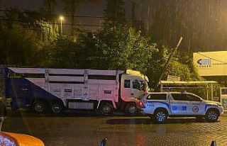Kamyonet yolcu durağına çarptı, faciadan dönüldü