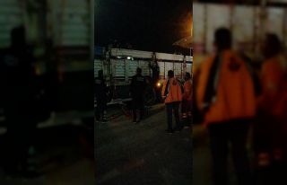 Kamyonun kasasında sıkışan büyükbaş hayvanlar,...