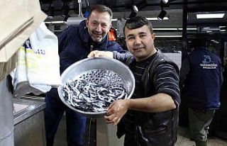 Karadeniz’deki balık bolluğu İç Anadolu’da...