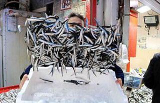 Karadeniz’in en ucuz balığı 7 TL, en pahalısı...