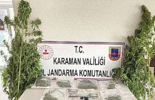Karaman’da jandarmanın esrar operasyonunda 3 kişi...