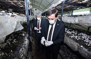 Karataylı öğrenciler hem öğreniyor hem kazanıyor