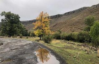 Kars’ta Sonbahar’da renk cümbüşü yaşanıyor
