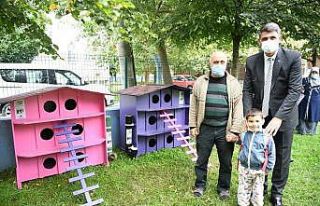 Kartepe’ye kedi evleri