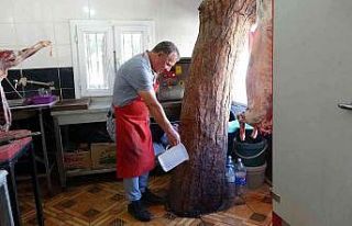 Kasap, dükkanındaki asırlık çam ağacına gözü...