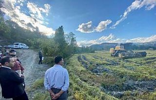 Kastamonu’da çeltik hasadı başladı