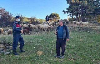 Kaybolan hayvanlar drone destekli arama çalışması...