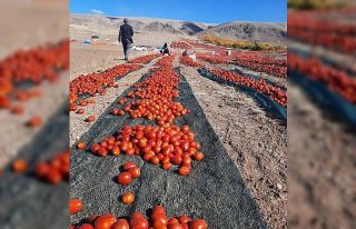 Kaynarca kırmızıya büründü