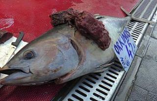 Kayseri’de 1.5 metrelik orkinos satışa çıktı