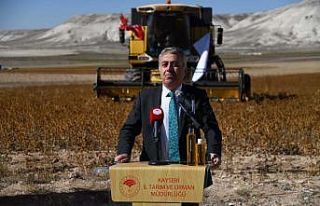 Kayseri’de aspir hasadı başladı