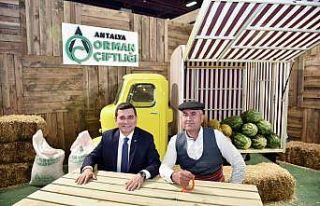 Kepez, kadın kooperatifleri standı ile YÖREX’te