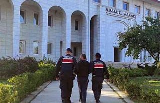 Kesinleşmiş hapis cezasına rağmen hırsızlık...