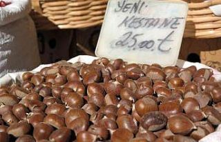 Kestane Eskişehir’deki tezgahlarda yerini aldı