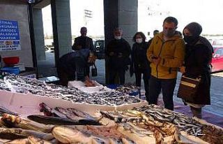 Kilosu 10 TL’ye kadar düştü, tuzlama zamanı...